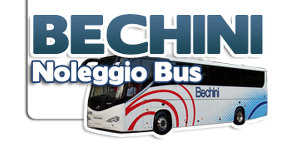 Bechini srl