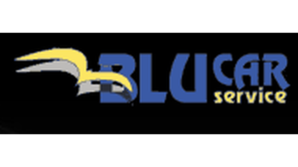 Blucar Service