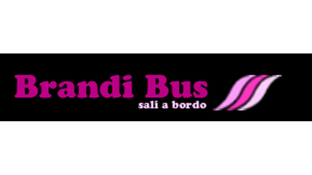 Brandi Bus