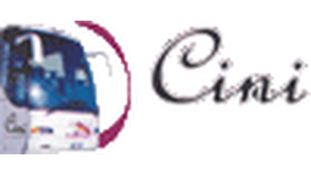 Cini Servizi srl