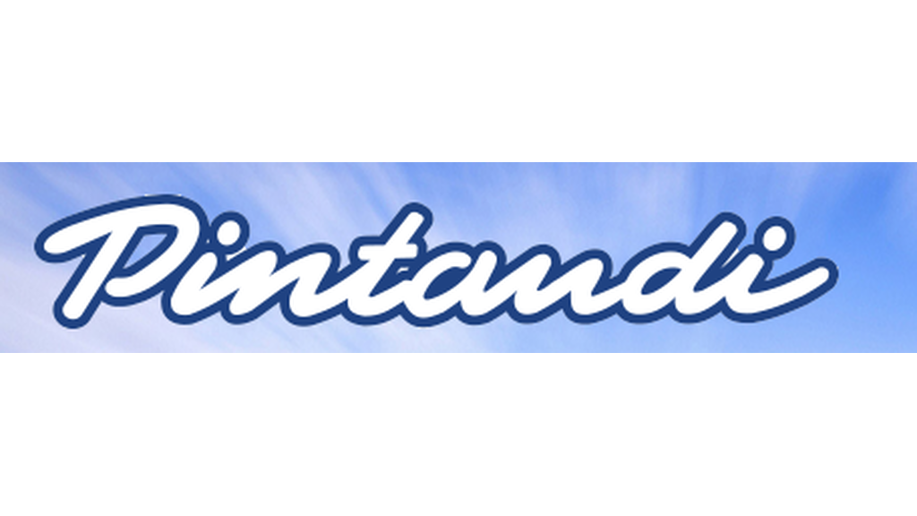 Pintaudi Bus