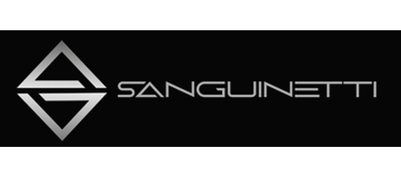 Sanguinetti Autoservizi srl