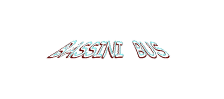 Bassini Bus