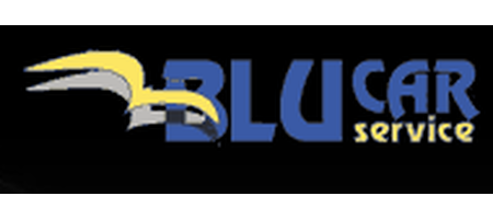 Blucar Service