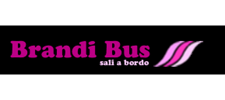 Brandi Bus