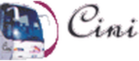 Cini Servizi srl