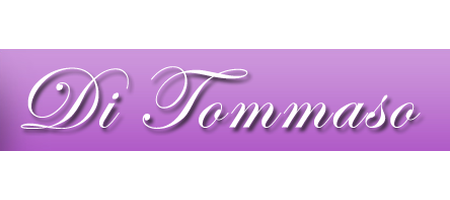 Di Tommaso Autoservizi