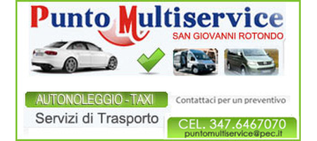 Punto Multiservice