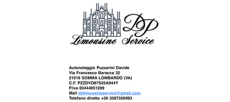 PUZZARINI DAVIDE