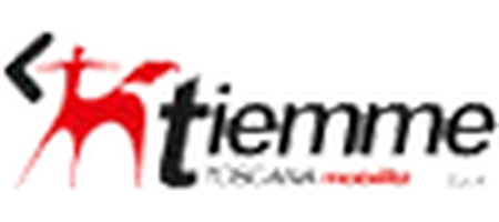 Tiemme