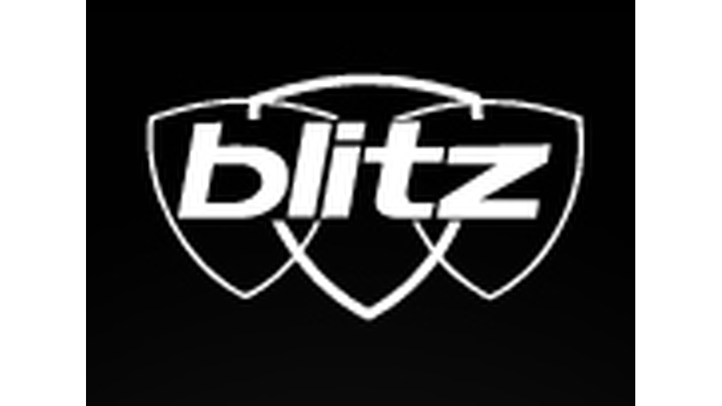 Blitz Executive Services