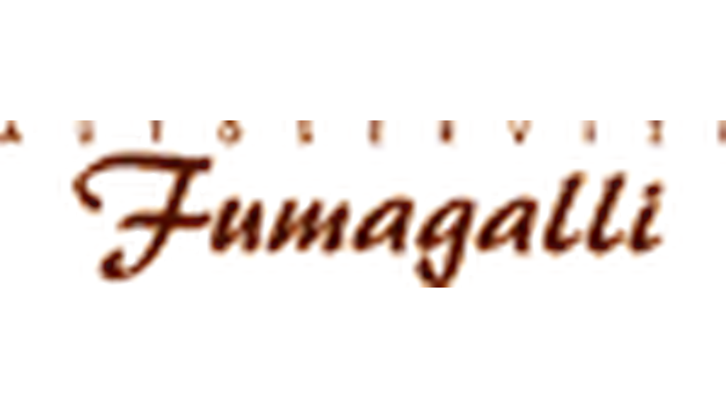 Fumagalli Autoservizi srl