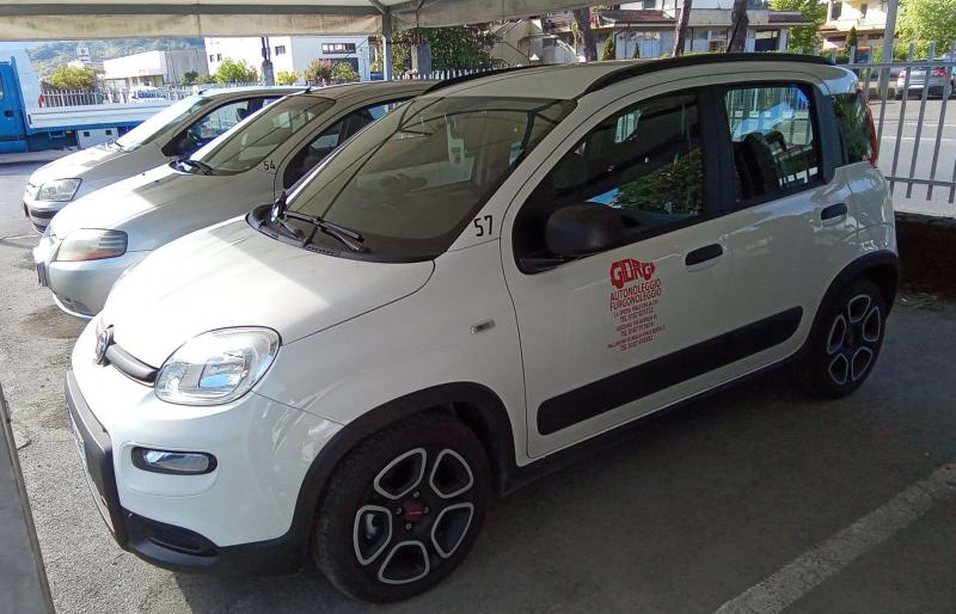 Fiat New panda