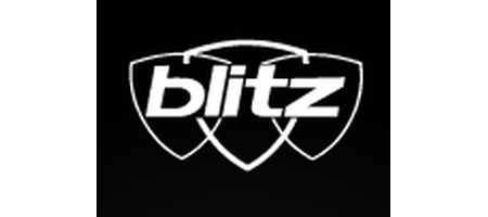 Blitz Executive Services