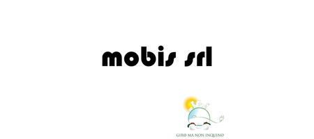 Mobis srl