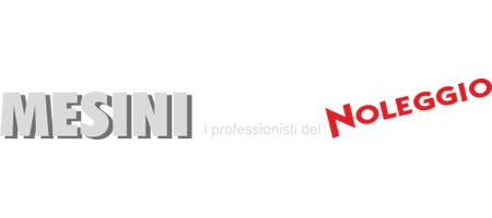 ROVIGO NOLEGGI SRL