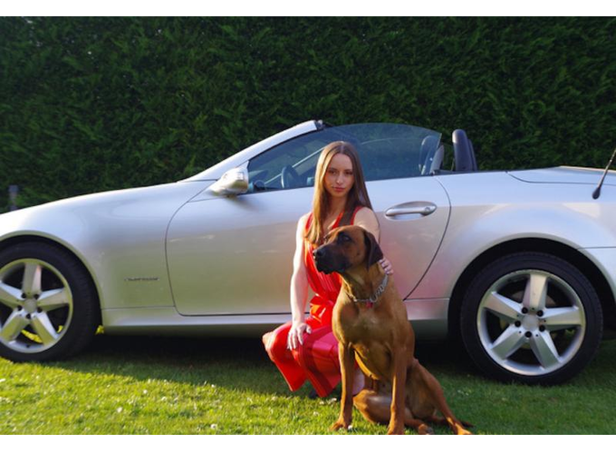 Mercedes-Benz Slk